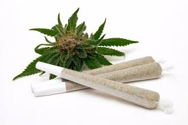 Pre Rolls